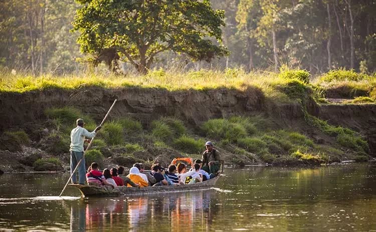 Jungle Safari Packages