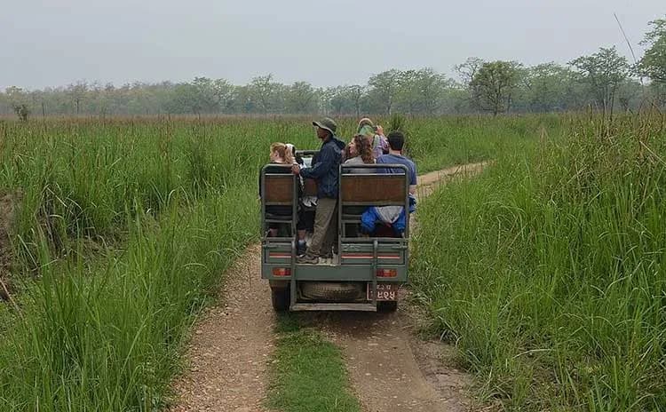 Jeep Safari In Chitwan National Park / Buffer zone forest