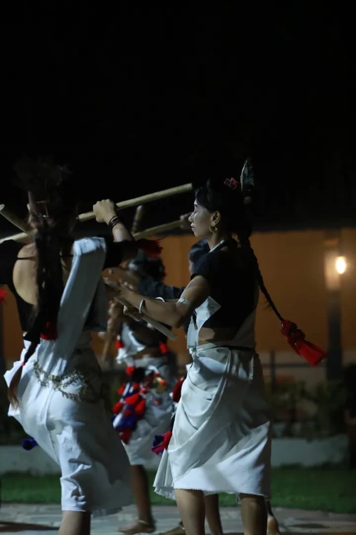 Sauraha Tharu Culture Dance