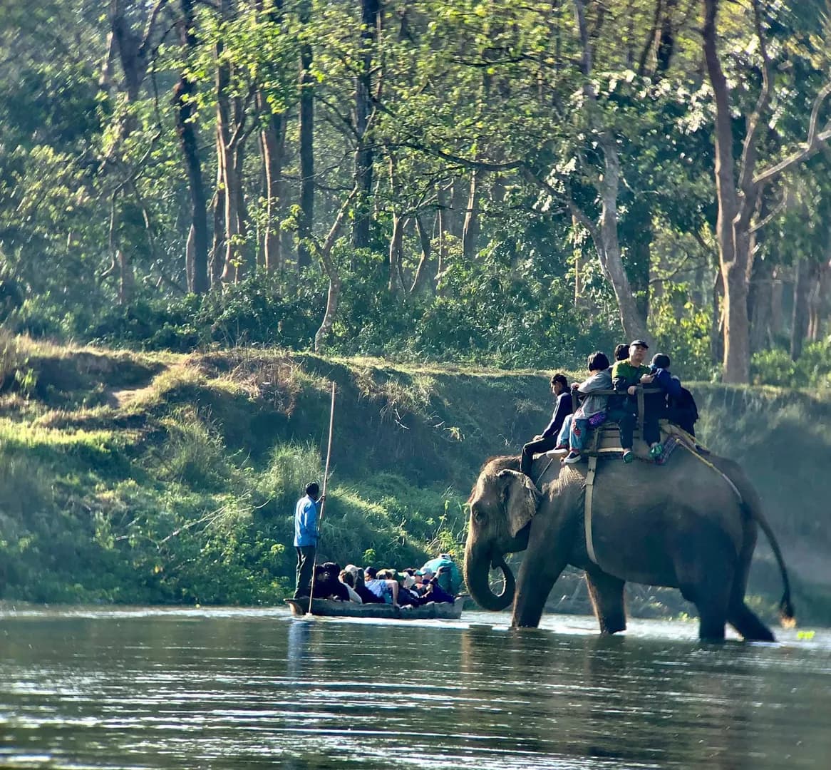 Elephant safari
